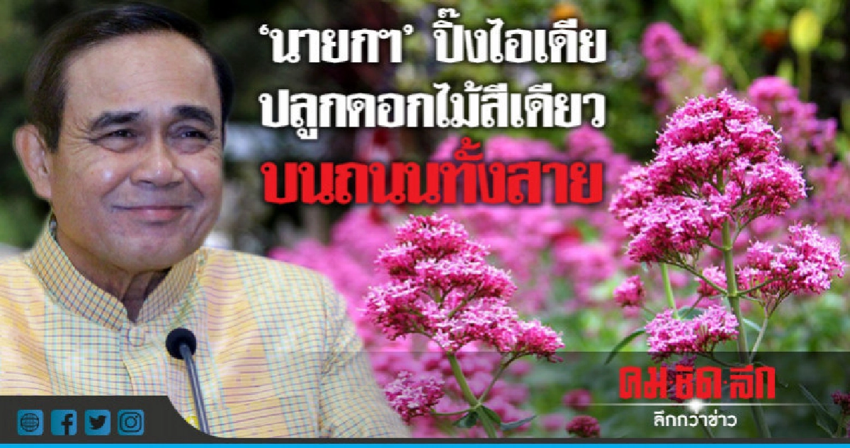 "นายกฯ"อยากให้ปลูกดอกไม้สีเดียวบนถนนทั้งสาย "นายกฯ"อยากให้ปลูกดอกไม้สีเดียวบนถนนทั้งสาย