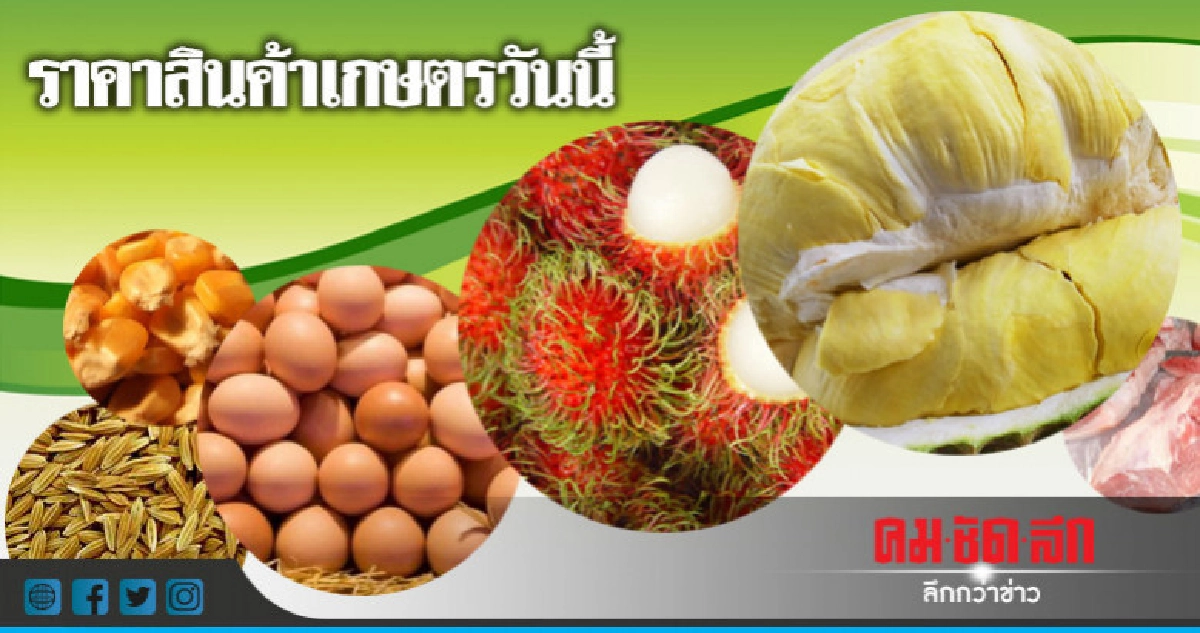 ราคาสินค้าเกษตรที่สำคัญ ราคาสินค้าเกษตรที่สำคัญ