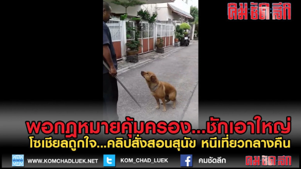(คลิปข่าว) ชักเอาใหญ่...ช่างหนุ่มถือท่อเหล็กสั่งสอนสุนัข (คลิปข่าว) ชักเอาใหญ่...ช่างหนุ่มถือท่อเหล็กสั่งสอนสุนัข