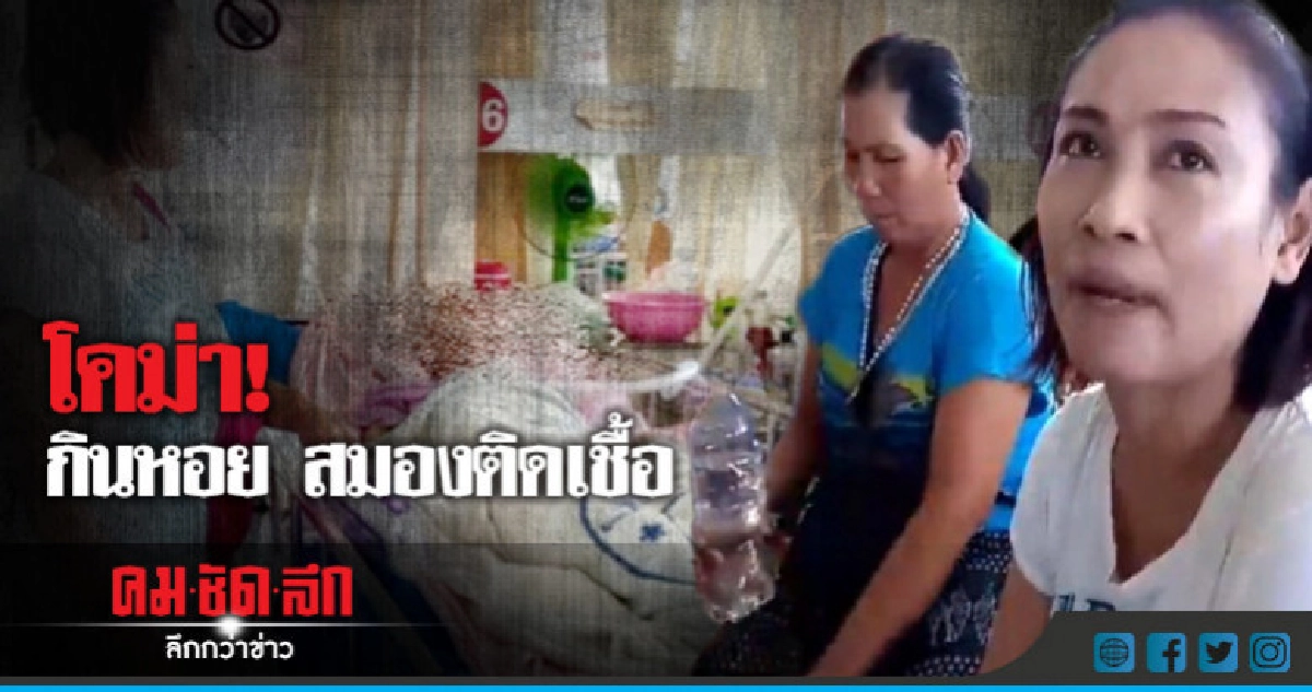 เยียวยา!! โคม่า กินหอย!! เยียวยา!! โคม่า กินหอย!!