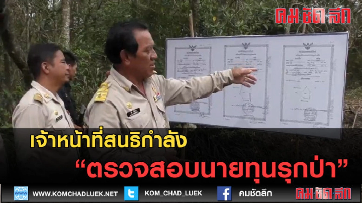(คลิปข่าว) สนธิกำลังตรวจสอบนายทุนรุกป่า
