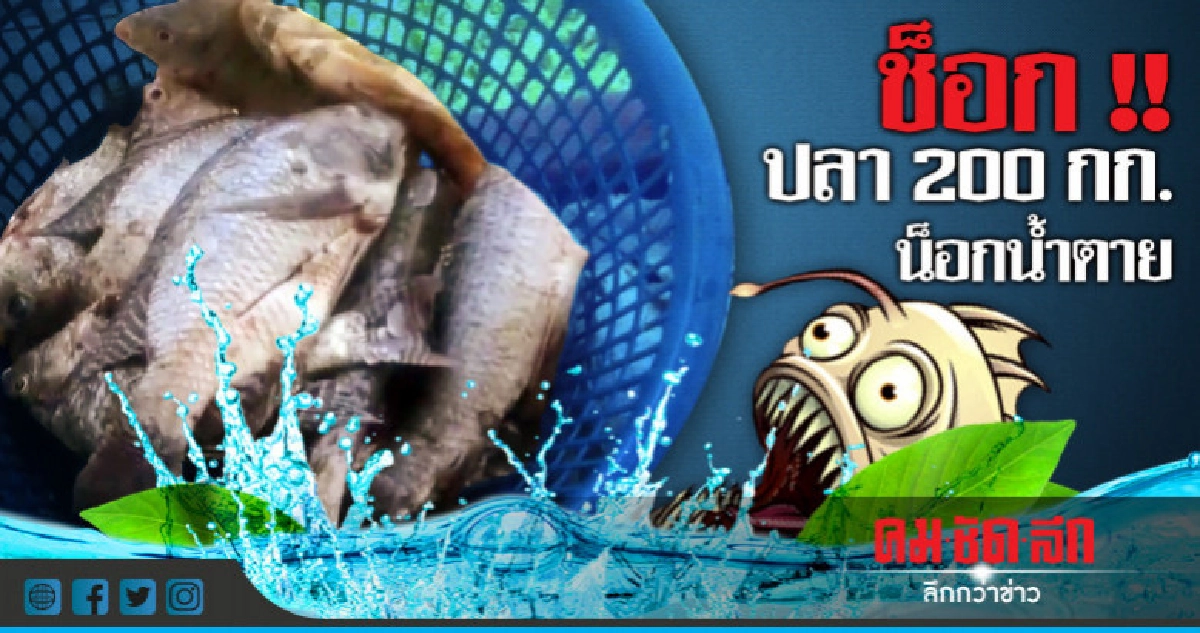 น้ำท่วม !! ปลาตายเพียบ น้ำท่วม !! ปลาตายเพียบ