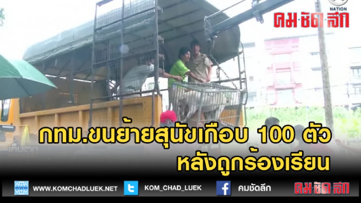 (คลิปข่าว) กทม.ขนย้ายสุนัขเกือบ 100 ตัว หลังถูกร้องเรียน