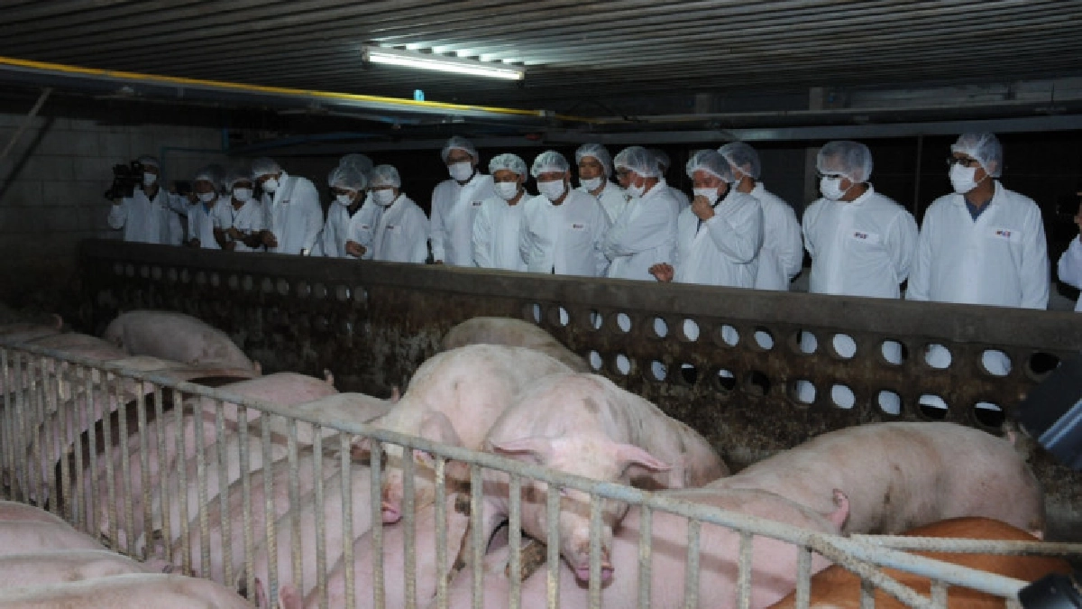 เกษตรฯ มุ่งดำเนินการจัดทำระบบคอมพาร์ทเมนต์ปลอดโรค 