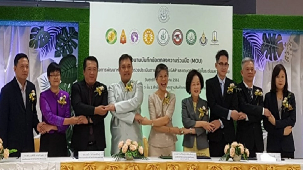 "มกอช."จับมือ 8 มหาวิทยาลัยฝึกนศ.ตรวจประเมินGAP "มกอช."จับมือ 8 มหาวิทยาลัยฝึกนศ.ตรวจประเมินGAP