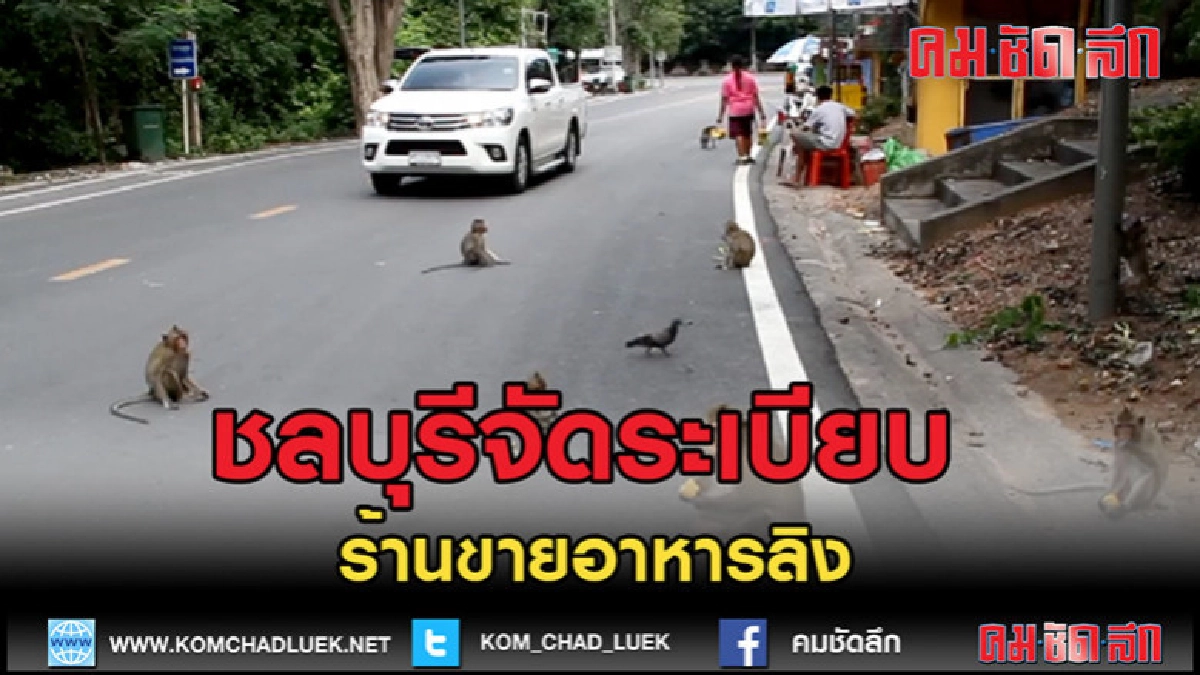 (คลิปข่าว)นายกเล็กแสนสุขจัดระเบียบร้านขายอาหารลิง (คลิปข่าว)นายกเล็กแสนสุขจัดระเบียบร้านขายอาหารลิง