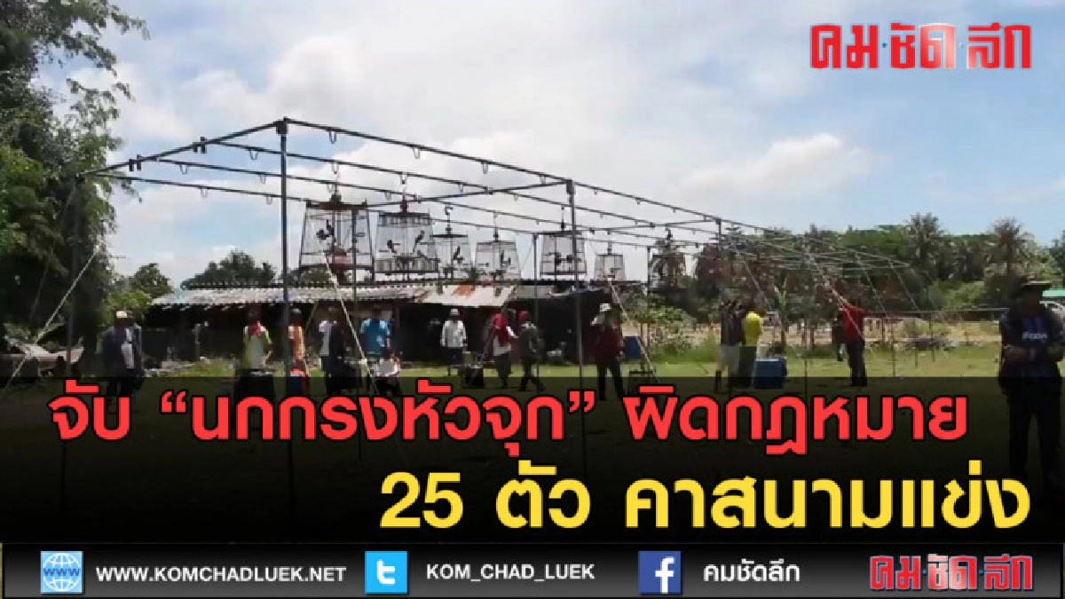 (คลิปข่าว) จับ นกกรงหัวจุก ผิดกฎหมาย 25 ตัว คาสนามแข่ง