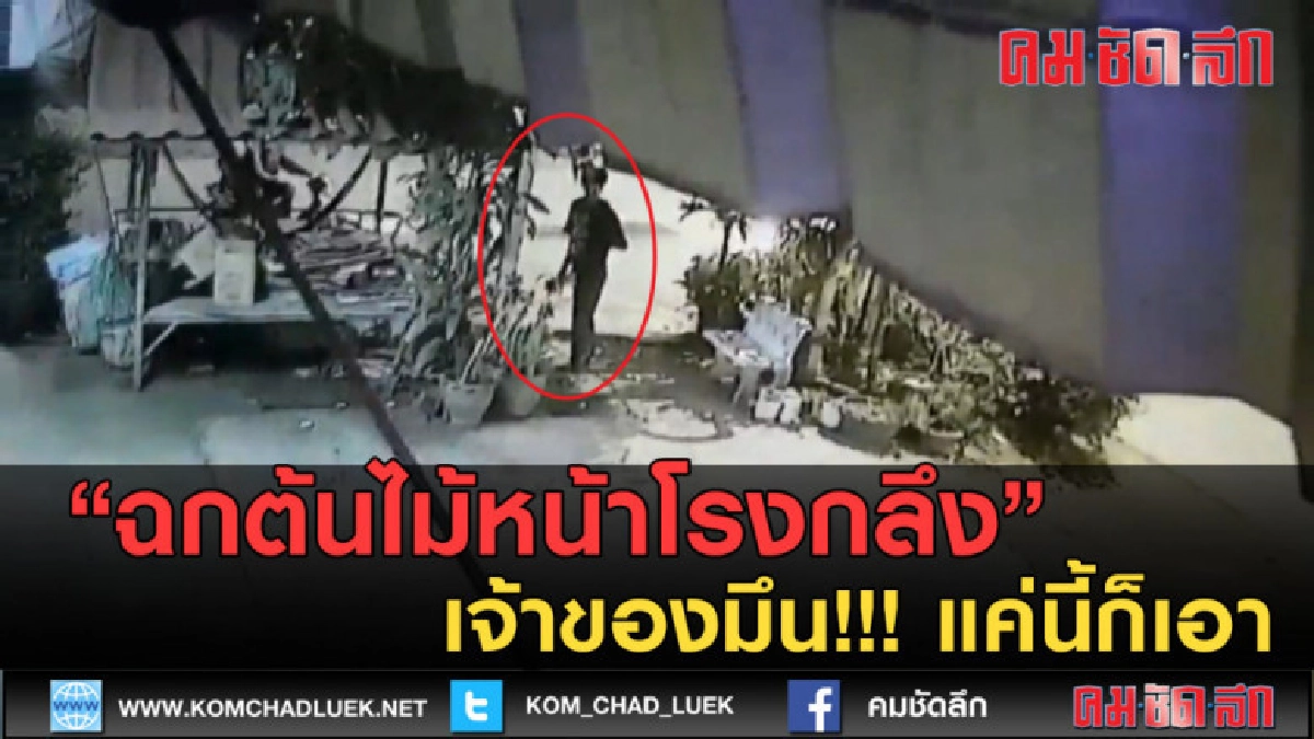 (คลิปข่าว) ฉกต้นไม้หน้าโรงกลึง เจ้าของมึน! แค่นี้ก็เอา (คลิปข่าว) ฉกต้นไม้หน้าโรงกลึง เจ้าของมึน! แค่นี้ก็เอา