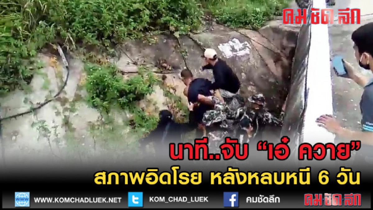 (คลิปข่าว) นาทีรวบ "เอ๋ ควาย" หลังหลบหนี 6 วัน สภาพอิดโรย