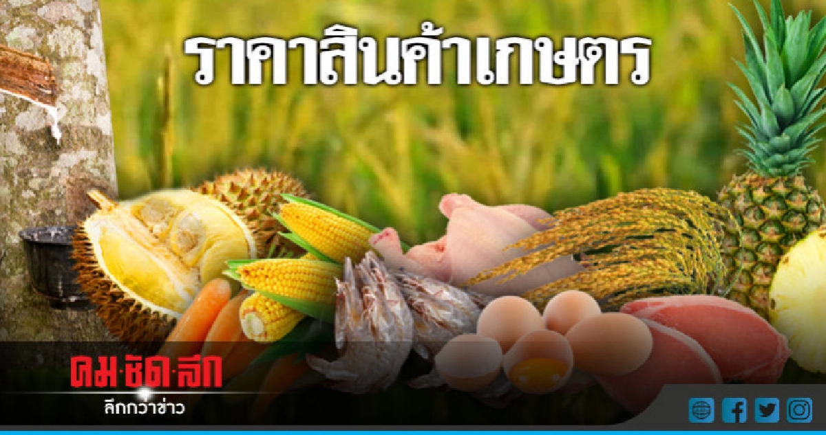 ราคาสินค้าเกษตรประจำวันที่ 28 พฤษภาคม 2561