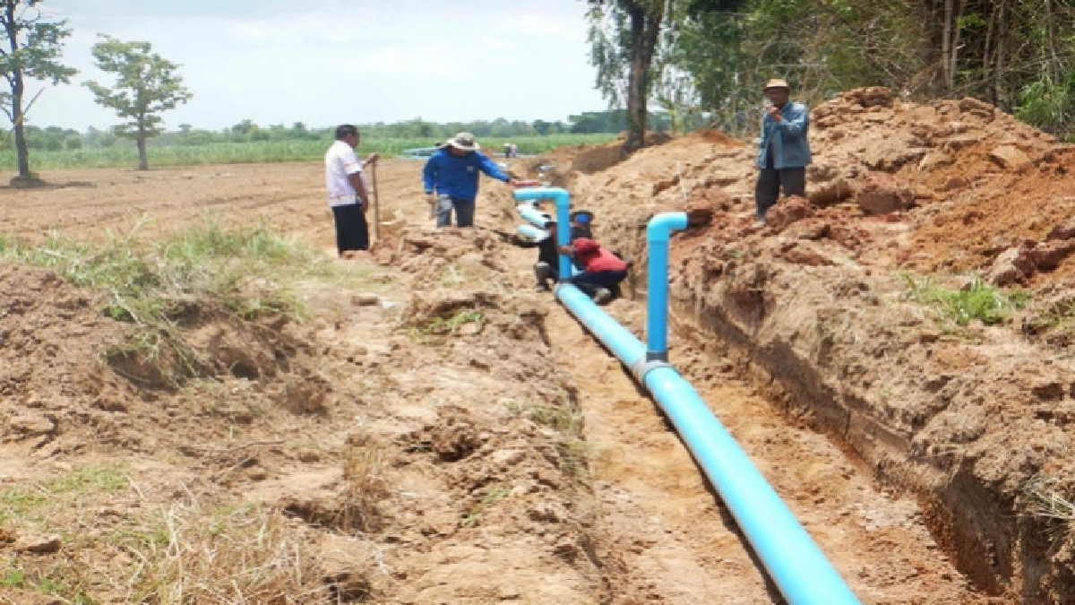 "เกษตร"ทุ่มงบ 2.4 หมื่นล้านเดินหน้าไทยนิยม ยั่งยืน "เกษตร"ทุ่มงบ 2.4 หมื่นล้านเดินหน้าไทยนิยม ยั่งยืน