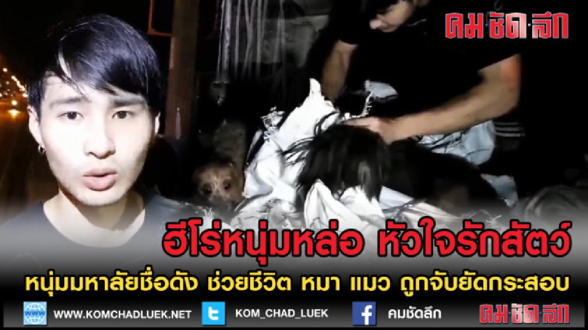 (คลิปข่าว) ฮีโร่หนุ่มหล่อ ช่วยสุนัขและแมวถูกทิ้งยัดในกระสอบ (คลิปข่าว) ฮีโร่หนุ่มหล่อ ช่วยสุนัขและแมวถูกทิ้งยัดในกระสอบ