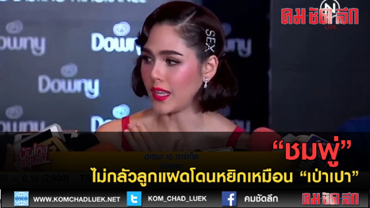 (คลิปข่าว) "ชมพู่" ไม่กลัวลูกแฝดโดนหยิกเหมือน "เป่าเปา" (คลิปข่าว) "ชมพู่" ไม่กลัวลูกแฝดโดนหยิกเหมือน "เป่าเปา"