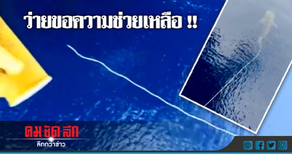 เร่งหาฉลามวาฬถูกเชือกพันหาง !! เร่งหาฉลามวาฬถูกเชือกพันหาง !!