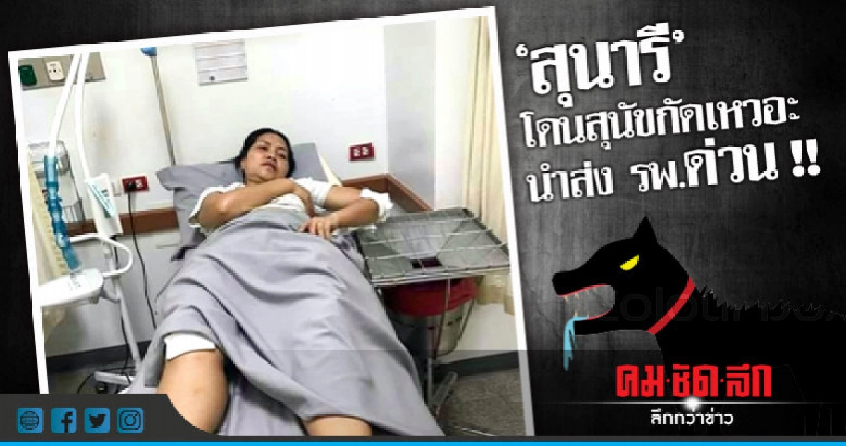 แฟนเพลงตกใจ "สุนารี" โดนสุนัขกัดเหวอะ !! แฟนเพลงตกใจ "สุนารี" โดนสุนัขกัดเหวอะ !!