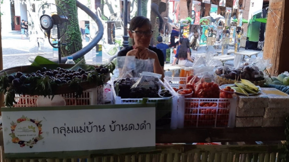 ก.พาณิชย์ตั้งเครือข่าย "คลัสเตอร์อาหารออร์แกนิค"ภาคเหนือ ก.พาณิชย์ตั้งเครือข่าย "คลัสเตอร์อาหารออร์แกนิค"ภาคเหนือ