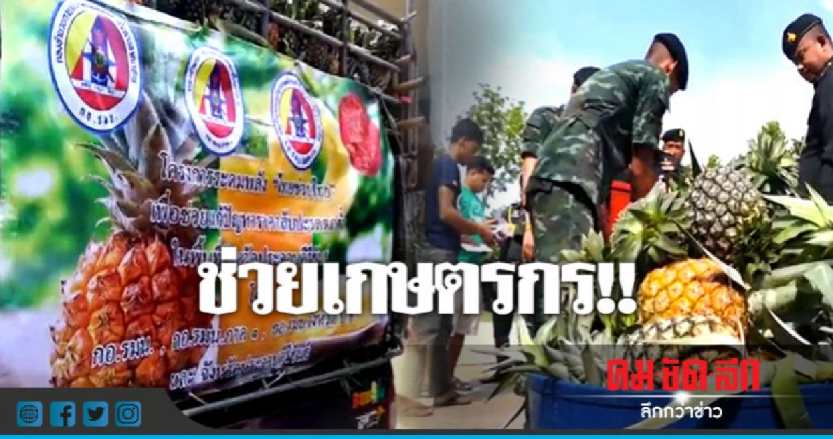 ทหารซื้อสับปะรดช่วยเกษตรกร !! ทหารซื้อสับปะรดช่วยเกษตรกร !!