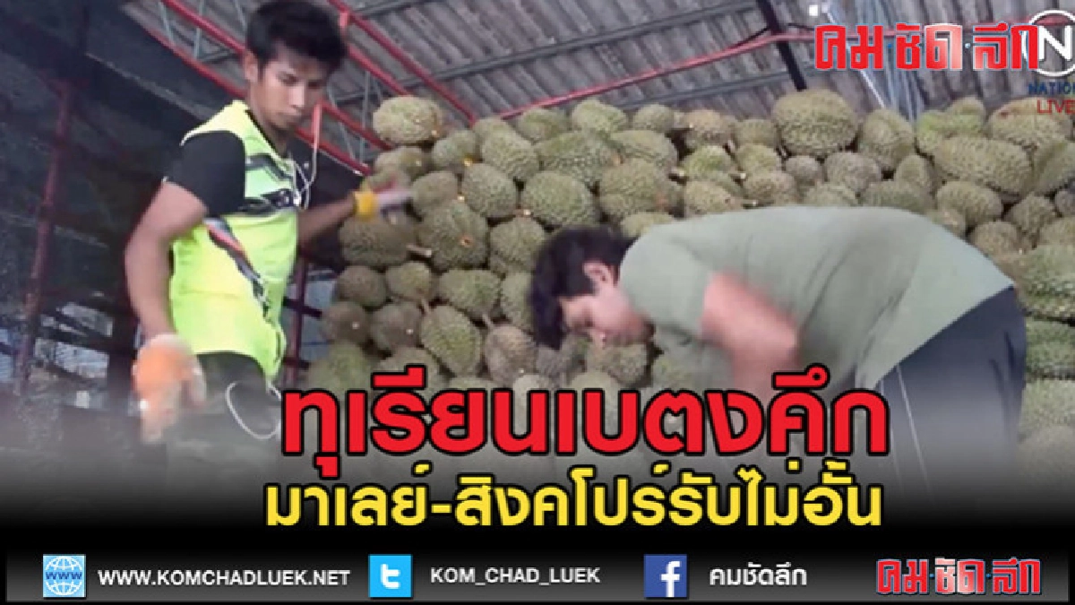 (คลิปข่าว)ทุเรียนเบตงคึกคักมาเลย์-สิงคโปร์รับไม่อั้น (คลิปข่าว)ทุเรียนเบตงคึกคักมาเลย์-สิงคโปร์รับไม่อั้น