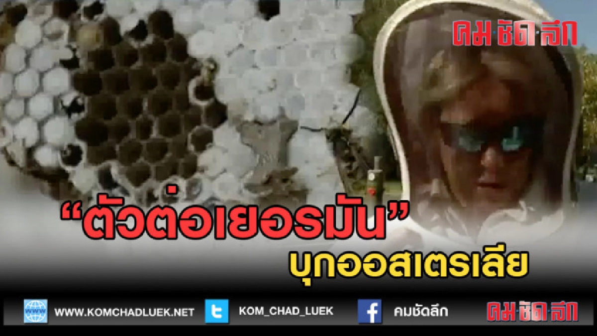 (คลิปข่าว) "ตัวต่อเยอรมัน" บุกออสเตรเลีย
