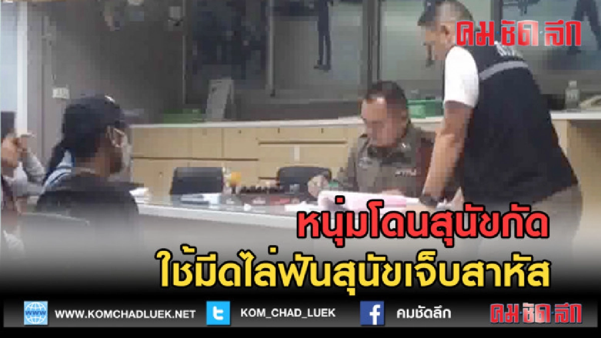 (คลิปข่าว) หนุ่มโดนสุนัขกัด ใช้มีดไล่ฟันสุนัขบาดเจ็บสาหัส