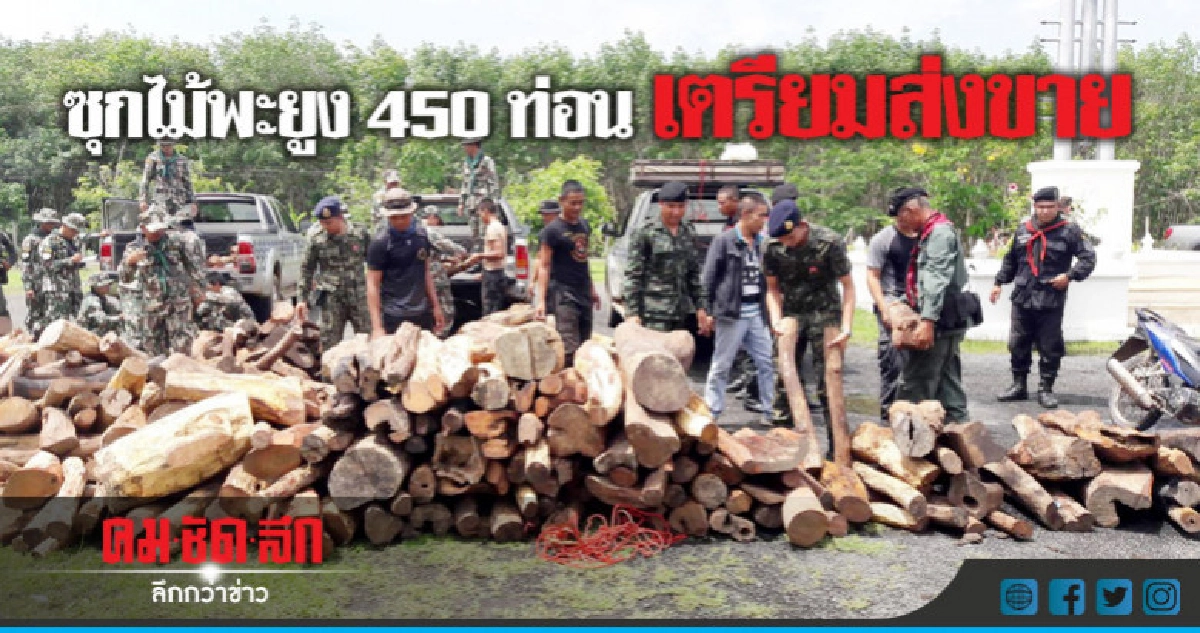 ตร.-ทหารป่าไม่ยึดไม้พะยูง450ท่อนซุกป่าเตรียมส่งขาย ตร.-ทหารป่าไม่ยึดไม้พะยูง450ท่อนซุกป่าเตรียมส่งขาย