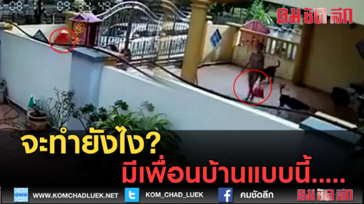 (คลิปข่าว)จะทำยังไง? มีเพื่อนบ้านแบบนี้.....