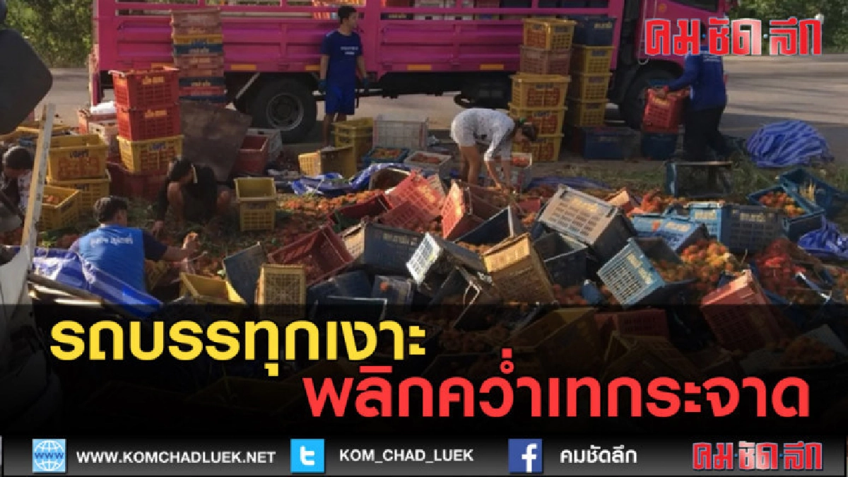 (คลิปข่าว) รถบรรทุกเงาะพลิกคว่ำเทกระจาด (คลิปข่าว) รถบรรทุกเงาะพลิกคว่ำเทกระจาด