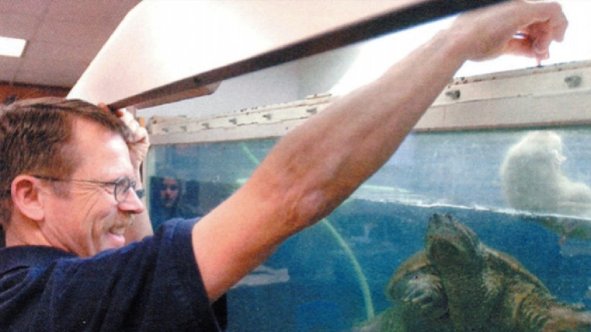 จ่อคุก 6 เดือนครูวิทย์ป้อนลูกหมาให้เต่ากินต่อหน้านร. จ่อคุก 6 เดือนครูวิทย์ป้อนลูกหมาให้เต่ากินต่อหน้านร.