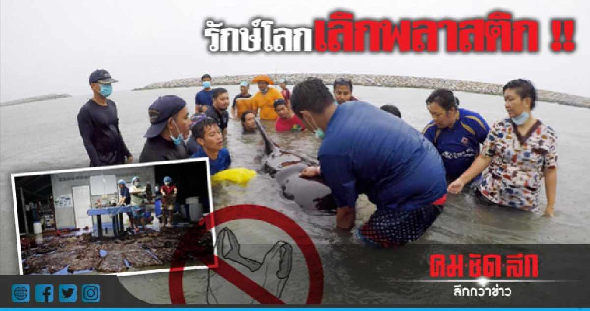ลดใช้พลาสติกแค่รณรงค์หรือต้องบังคับ !? ลดใช้พลาสติกแค่รณรงค์หรือต้องบังคับ !?