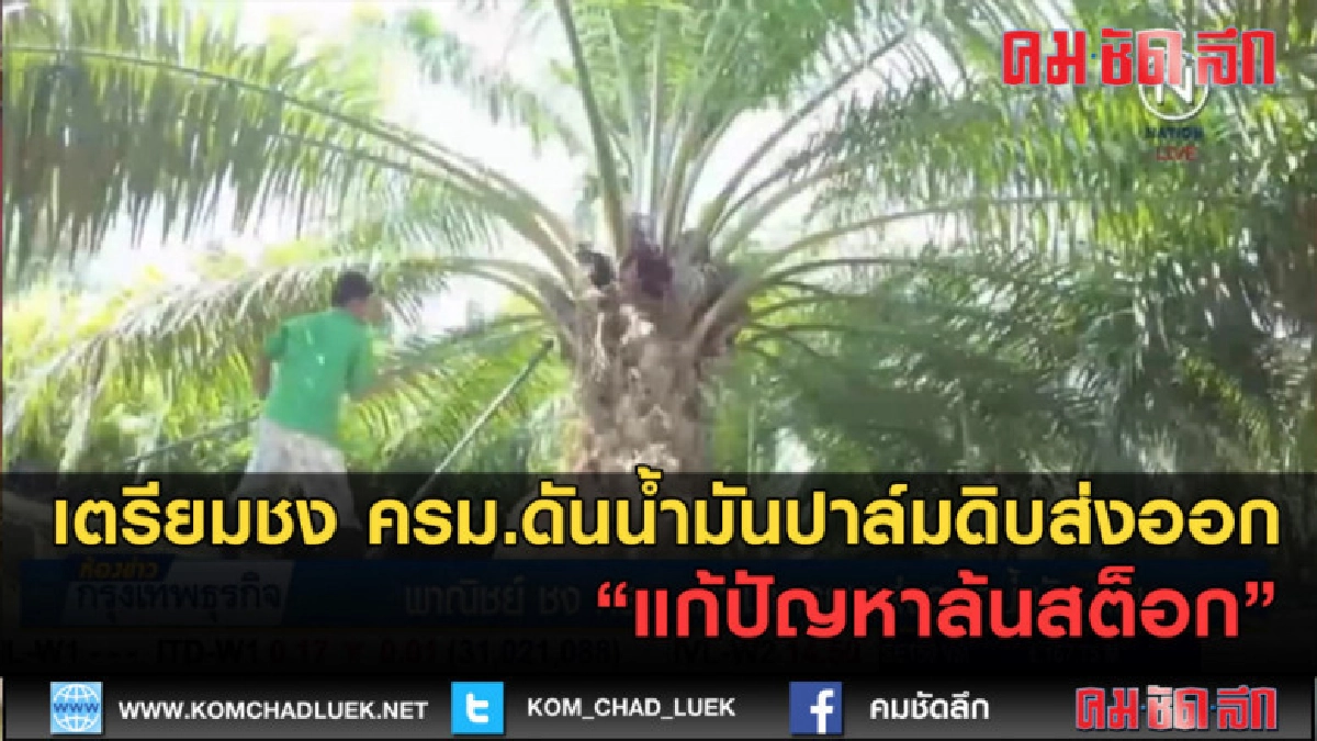 (คลิปข่าว) เตรียมชง ครม.ดันส่งออกน้ำมันปาล์มดิบ (คลิปข่าว) เตรียมชง ครม.ดันส่งออกน้ำมันปาล์มดิบ