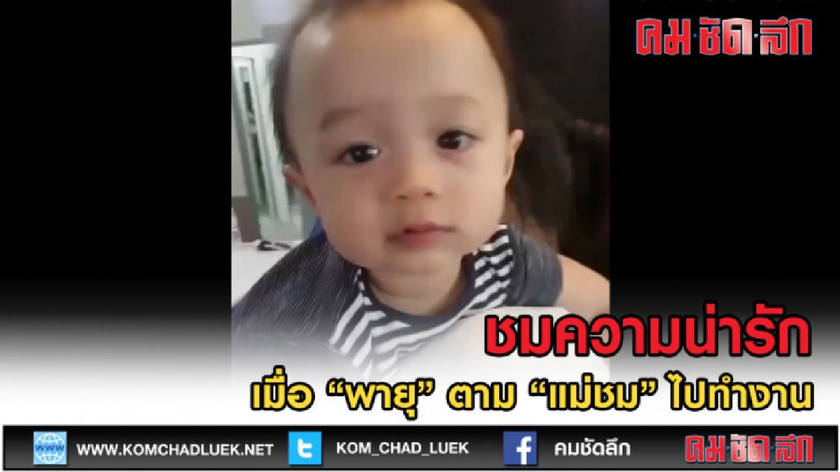 (คลิปข่าว) ชมความน่ารัก เมื่อ "พายุ" ตาม "แม่" ไปทำงาน (คลิปข่าว) ชมความน่ารัก เมื่อ "พายุ" ตาม "แม่" ไปทำงาน