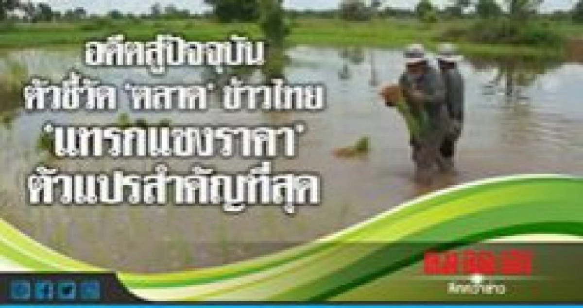 "แทรกแซงราคา"ตัวชี้วัด"ตลาด"ข้าวไทย "แทรกแซงราคา"ตัวชี้วัด"ตลาด"ข้าวไทย