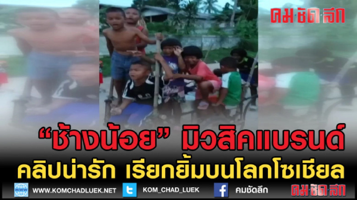 (คลิปข่าว) หาค่ายเพลงได้รึยัง ช้างน้อยมิวสิคแบรนด์ (คลิปข่าว) หาค่ายเพลงได้รึยัง ช้างน้อยมิวสิคแบรนด์