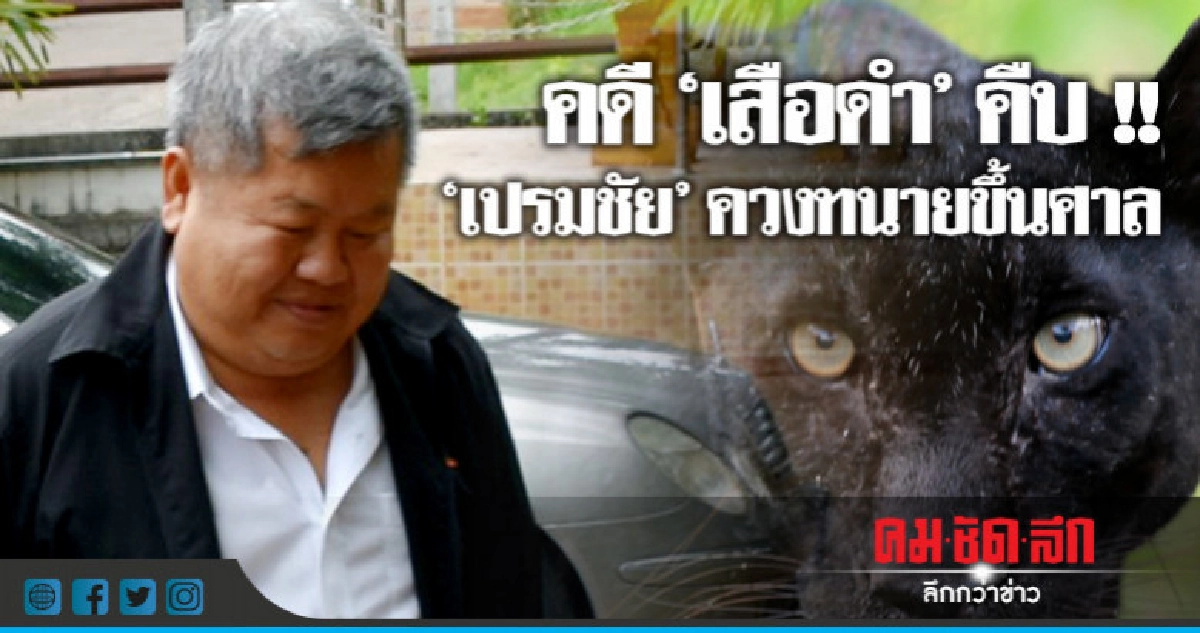 "เปรมชัย-พวก" ควงทนายขึ้นศาลคดี "เสือดำ" "เปรมชัย-พวก" ควงทนายขึ้นศาลคดี "เสือดำ"