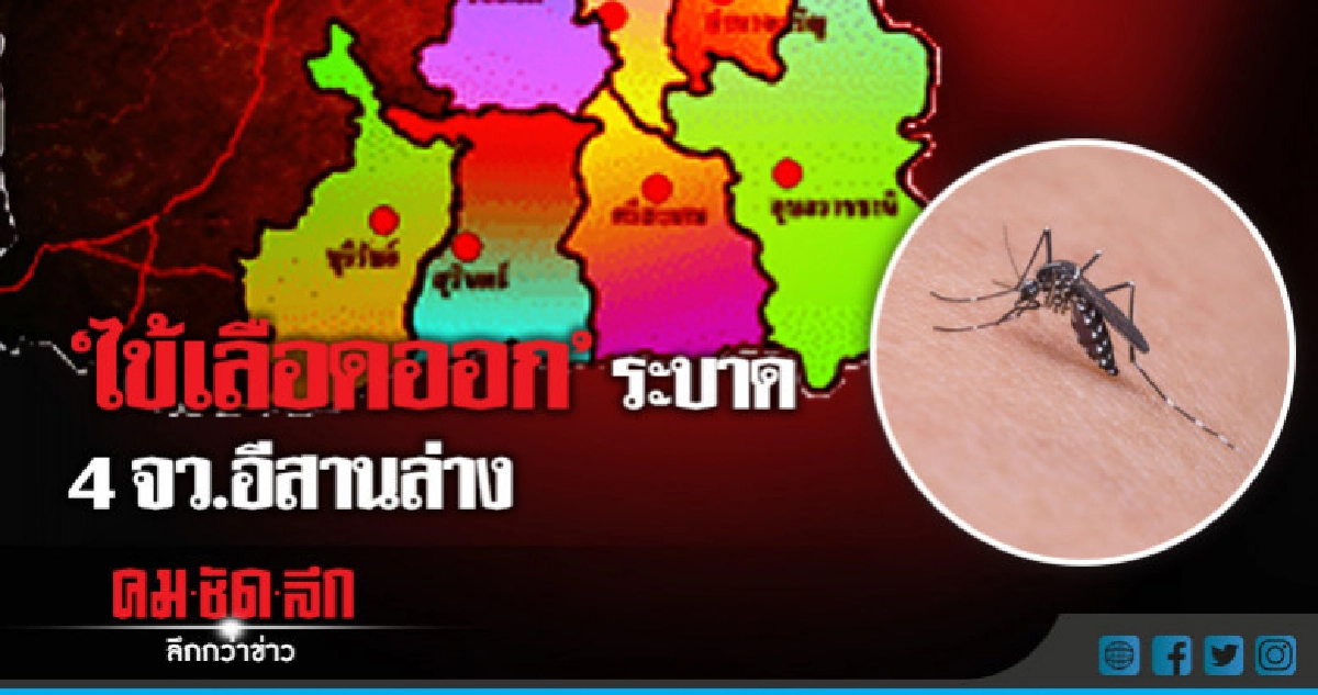 "ไข้เลือดออก" ระบาดอีก !! "ไข้เลือดออก" ระบาดอีก !!