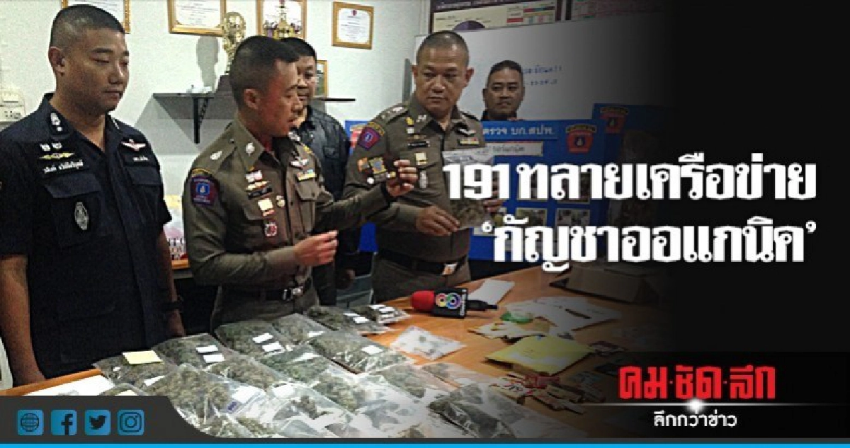 191 ทลายเครือข่าย 'กัญชาออแกนิค' 191 ทลายเครือข่าย 'กัญชาออแกนิค'