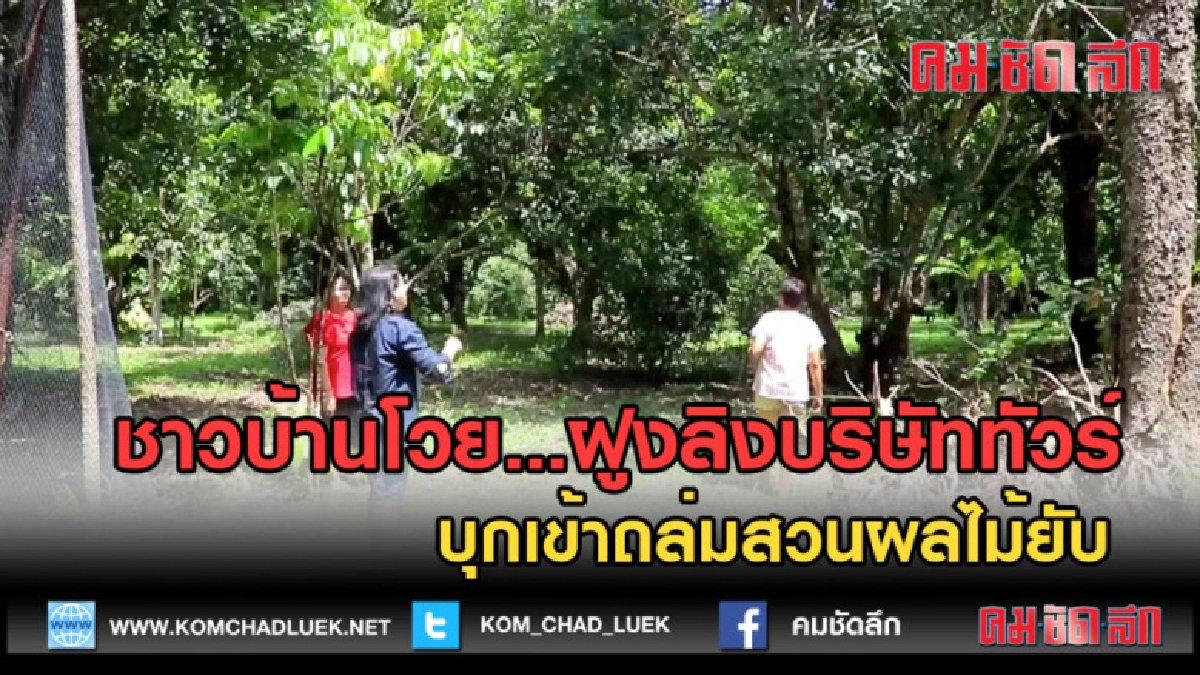 (คลิปข่าว) ชาวบ้านโวยฝูงลิงบริษัททัวร์ ถล่มสวนผลไม้ยับ
