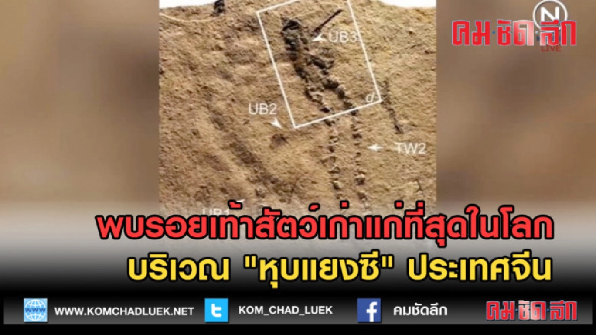 (คลิปข่าว) พบรอยเท้าสัตว์เก่าแก่ที่สุดในโลก ประเทศจีน (คลิปข่าว) พบรอยเท้าสัตว์เก่าแก่ที่สุดในโลก ประเทศจีน