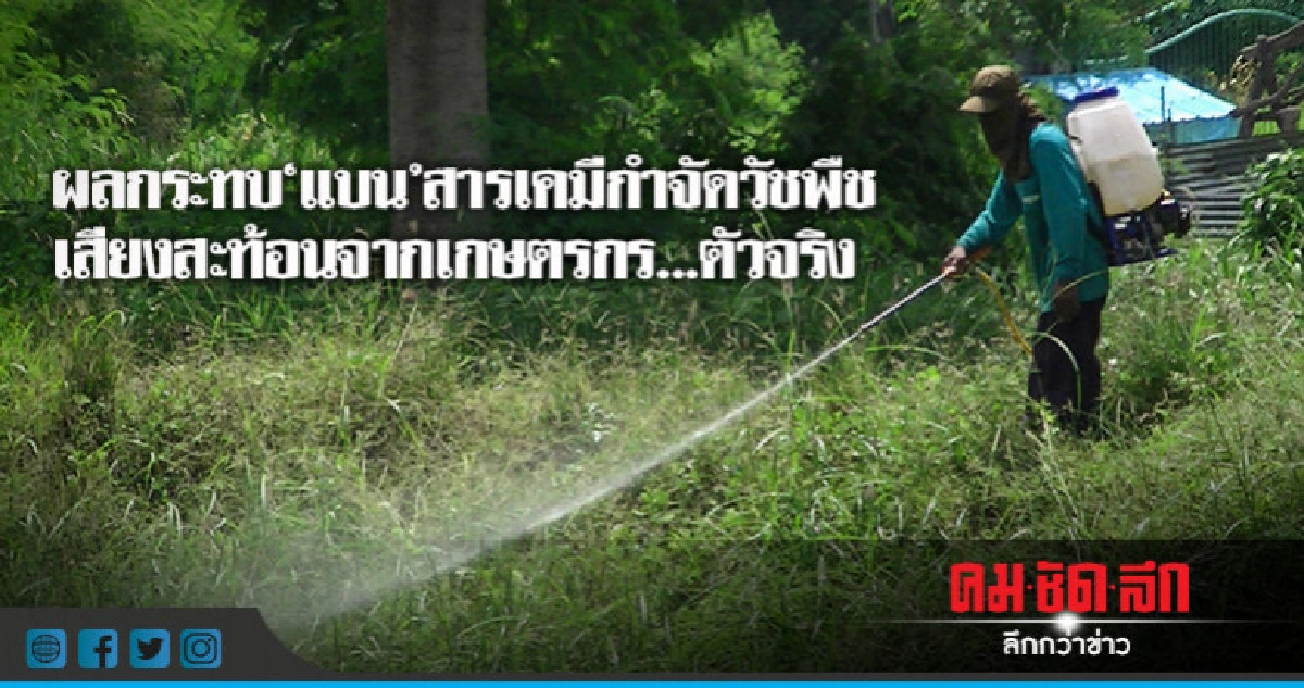 "แบน"สารเคมีกำจัดวัชพืช เสียงสะท้อนจากเกษตรกร...ตัวจริง