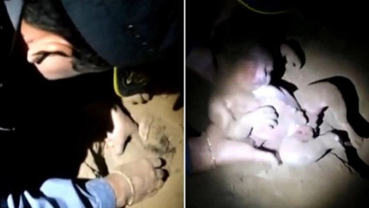 (ชมคลิป) ปาฏิหาริย์รอดจากหลุม!ทารกบราซิลถูกฝังทั้งเป็น 8 ชม.