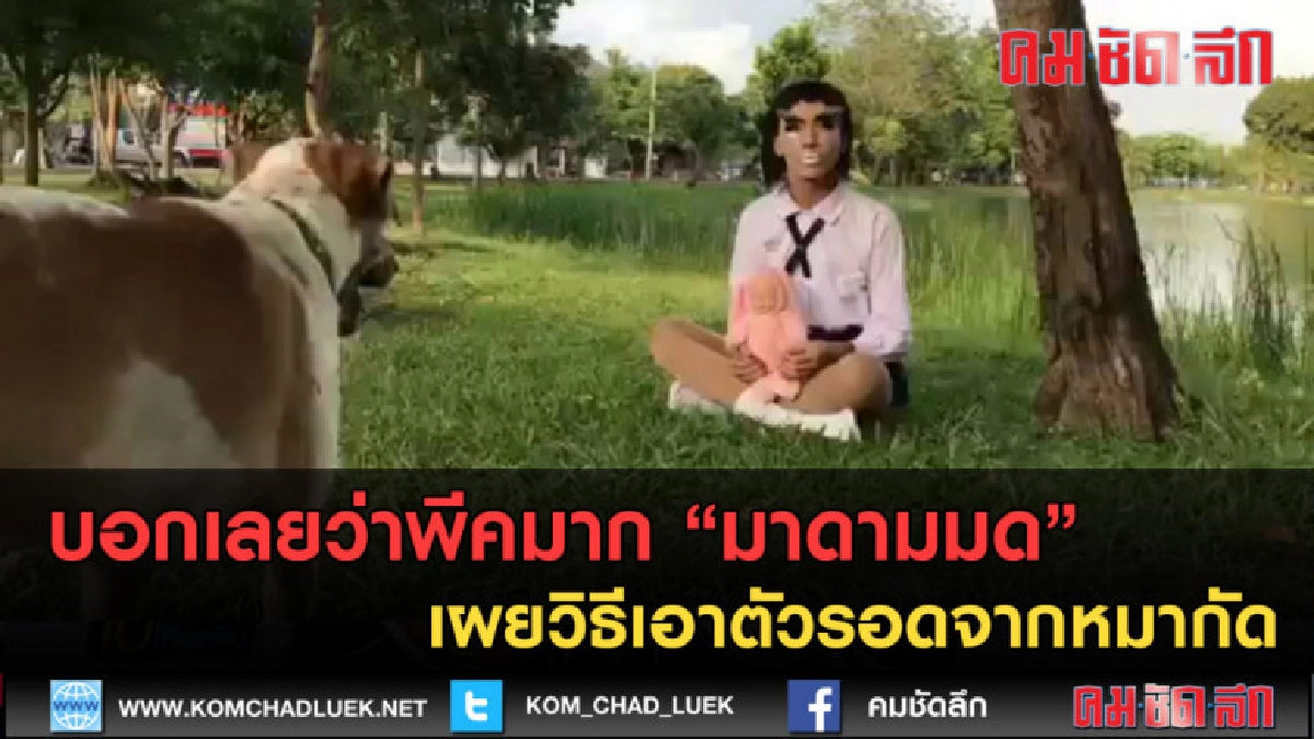 (คลิปข่าว) มาดามมด เผยวิธีเอาตัวรอดจากหมากัด บอกเลยว่าพีคมาก (คลิปข่าว) มาดามมด เผยวิธีเอาตัวรอดจากหมากัด บอกเลยว่าพีคมาก