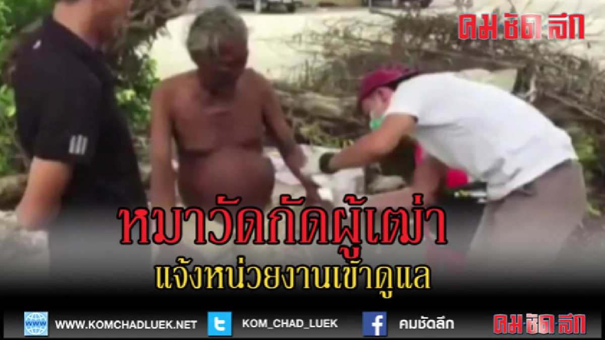 (คลิปข่าว)หมาวัดกัดผู้เฒ่าจรจัดเลือดท่วม (คลิปข่าว)หมาวัดกัดผู้เฒ่าจรจัดเลือดท่วม