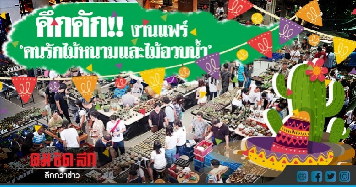 งานแฟร์ ครั้งที่ 12 ของคนรักไม้หนามและไม้อวบน้ำ(ภาพชุด)  