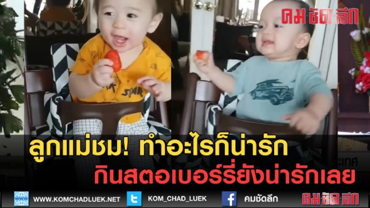 (คลิปข่าว) สายฟ้า-พายุ กินสตรอเบอร์รี่ น่ารักสุดๆ (คลิปข่าว) สายฟ้า-พายุ กินสตรอเบอร์รี่ น่ารักสุดๆ