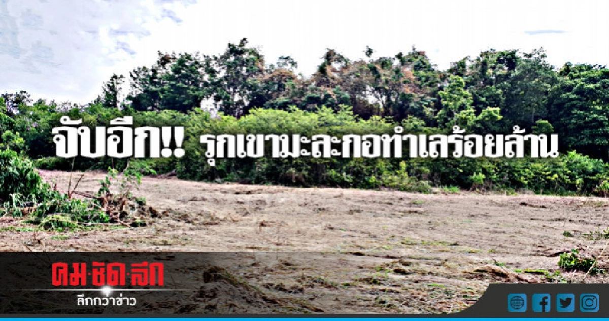 บุกจับรุกป่า "เขามะละกอ" บุกจับรุกป่า "เขามะละกอ"