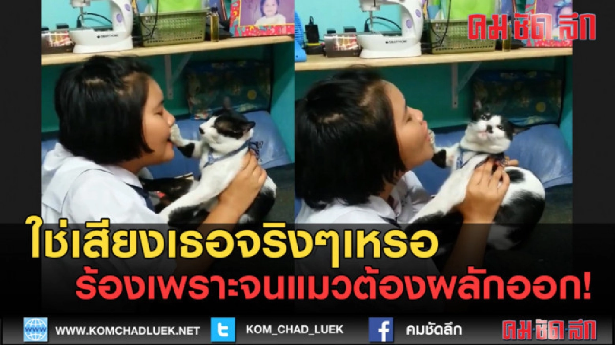 (คลิปข่าว) ใช่เสียงเธอจริงๆเหรอ ร้องเพราะจนแมวจะผลักออก! (คลิปข่าว) ใช่เสียงเธอจริงๆเหรอ ร้องเพราะจนแมวจะผลักออก!