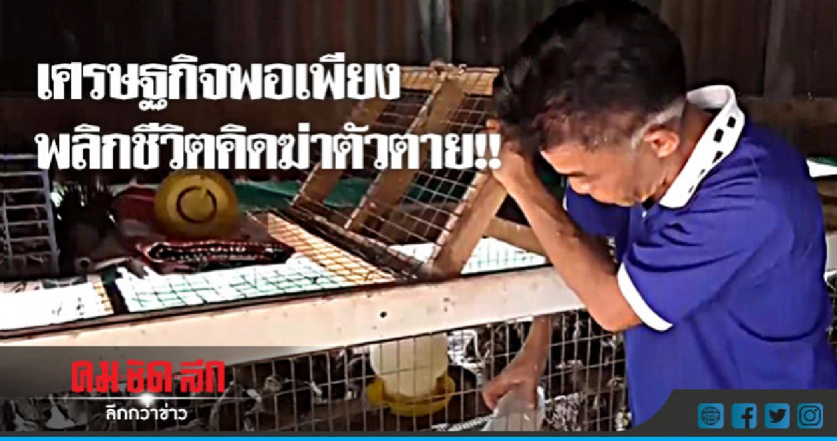 เศรษฐกิจพอเพียงสร้างรายได้วันละ 2 พัน เศรษฐกิจพอเพียงสร้างรายได้วันละ 2 พัน