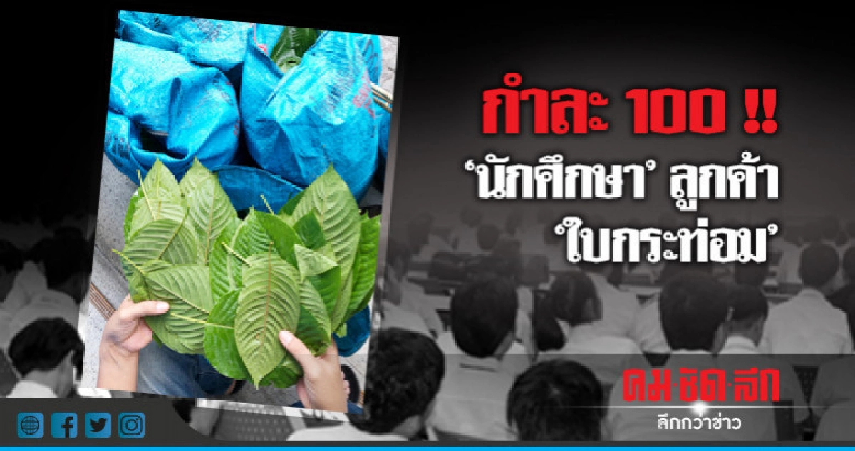 รวบ 6 หนุ่มเมืองคอนขนใบกระท่อม 70 กก.เข้ากรุง รวบ 6 หนุ่มเมืองคอนขนใบกระท่อม 70 กก.เข้ากรุง
