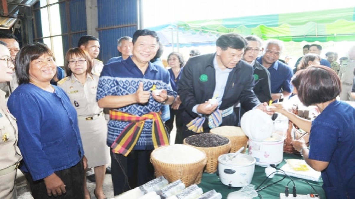 "สำรวจแปลงใหญ่"ลดต้นทุนตรงความต้องการตลาด "สำรวจแปลงใหญ่"ลดต้นทุนตรงความต้องการตลาด