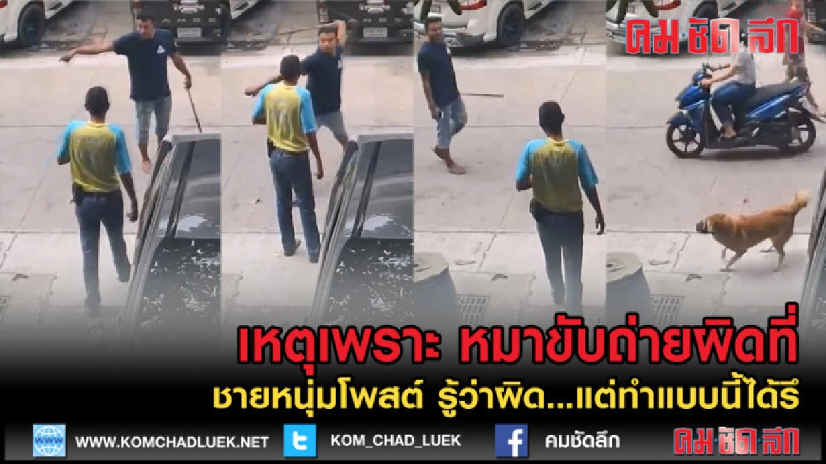 (คลิปเด็ด) เดือดยอมรับหมาไปขับถ่ายผิดที่ แต่ต้องทำขนาดนี้เลย
